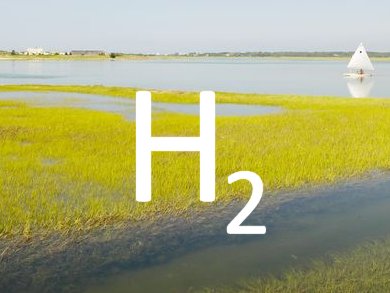 Retraining Algae to Make H2 for Fuel Cells