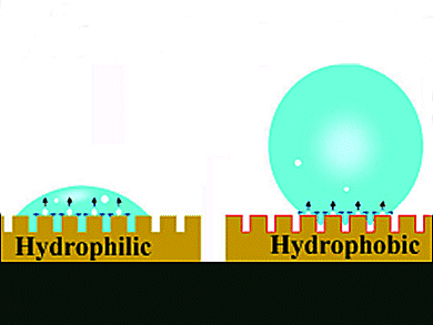 Lotus Effect at High Temperature