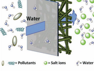 Breaking the Bottleneck in Forward Osmosis