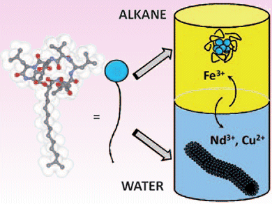 Natural Detergent for Metal Extraction