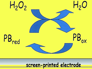 Hydrogen Peroxide Electrochemical Sensor