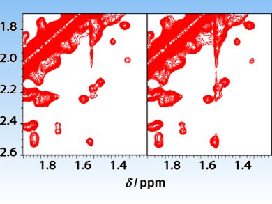 Angewandte Chemie 24/2011: Rapid Acquisition Yet High Quality