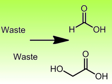 New Approach to CO2 Conversion