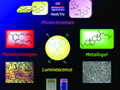 Multifunctional Metallogels for Smart Materials