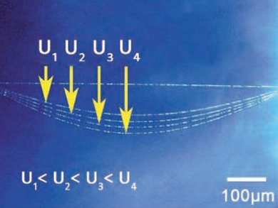 Ultralong Nanotubes for Mechanical Energy Storage