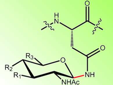 Mechanism of Glycosylation