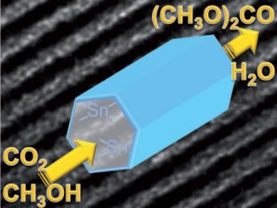 CO2 Fixation by Tin and Silica