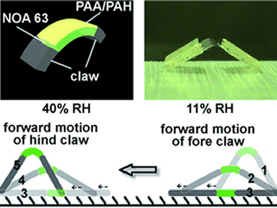 Angewandte Chemie 28/2011: Every Step an Improvement