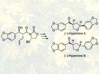 Natural Products from St. John's Wort