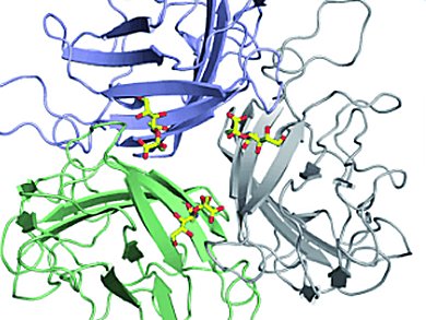 Angewandte Chemie 29/2011: Three Arms: Good