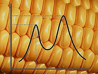 Learn About Methods in Biomass Analysis