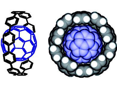 Shortest Fullerene-Peapod