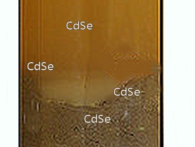 Cadmium Selenide Quantum Dots Pollute Soil