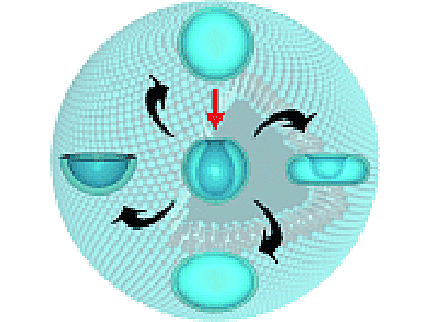 Angewandte Chemie 31/2011: More Nobility