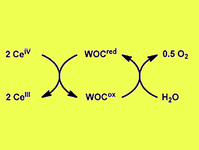 Simple and Efficient Water Oxidation