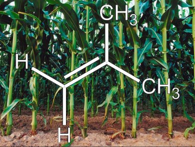 Direct Conversion of Bio-Ethanol to Isobutene