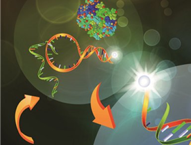 Beacon of Light For Protein Detection