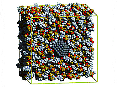 Mechanism to Stabilize Nanoparticles in ILs