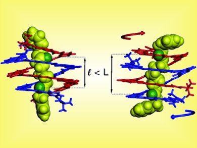 Angewandte Chemie 33/2011: Caught on Gold