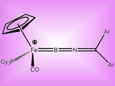 New Boron Complexes with Unpredicted Reactivity