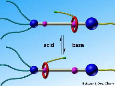 Bringing Functional Groups into Rotaxanes