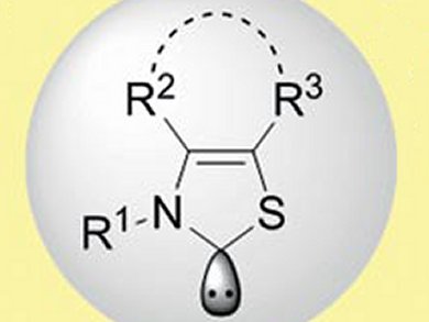 New Family of N-Heterocyclic Carbenes for Organocatalysis