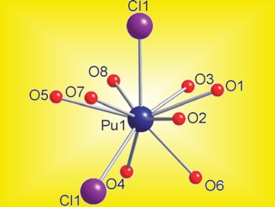 Plutonium to Americium: Dramatic Changes