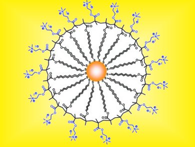 Positively Coating Nanoparticles