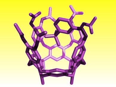 Cages and Molecular Capsules: From Structure to Catalysis