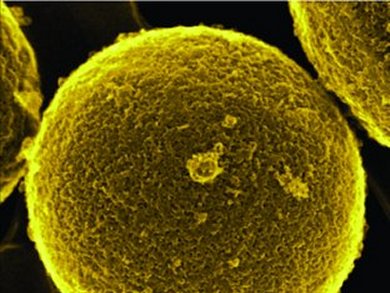 Rapid Charging of Lithium Ion Batteries