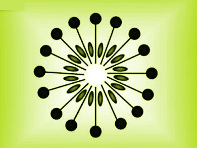 First CO2 in Ionic Liquid Microemulsion