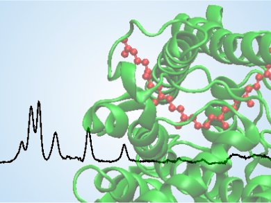 Understanding Bacterial Photosynthesis with Quantum Mechanics