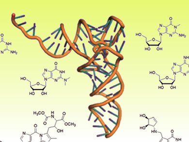 A Code Beyond DNA