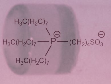 First Amino Acid Ionic Liquid Gel