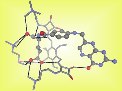 New Sensor for Folic Acid and Antineoplastic Folates