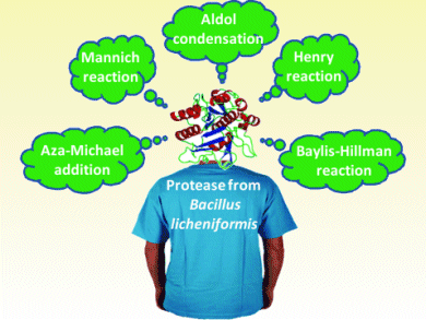 Biocatalysis Special Issue