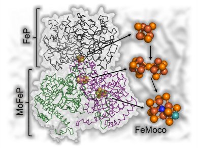 A Rival for the Haber-Bosch Process