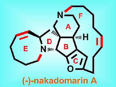 New Synthesis of (–)-Nakadomarin A