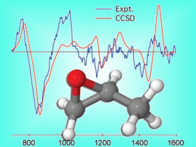 A New Step Towards Computational Experiments