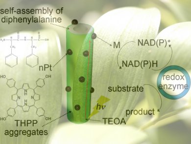 Artificial Photosynthesis with Peptide Nanotubes