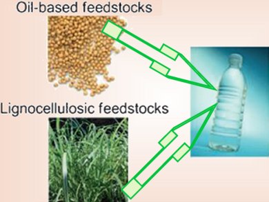 New Route to Sustainable Plastic