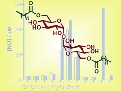 Triggering Immune Recognition with Long Lipid Chains