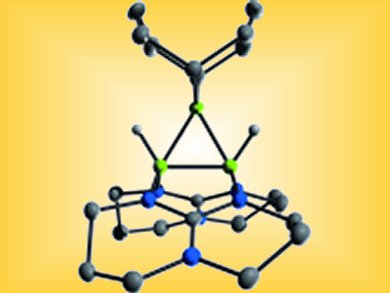 Angewandte Chemie 44/2011: A Combination Made in Heaven