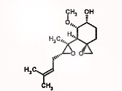 Molecular Remodeling