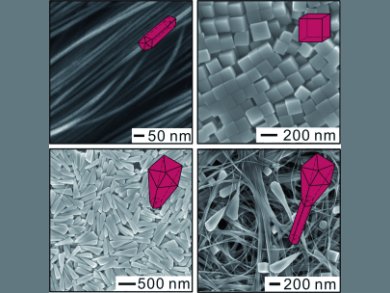 Angewandte Chemie 45/2011: A Variety of Shapes