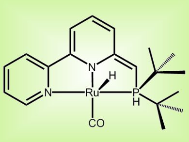 First Catalytic Hydrogenation of Urea Derivatives