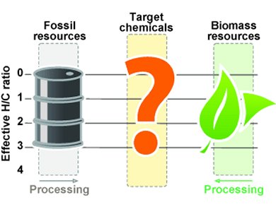 Sensible Use of Biomass