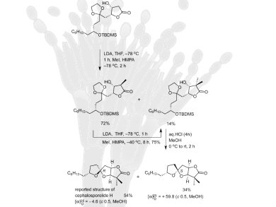 Cephalosporolide H Gives up More of its Structural Secrets