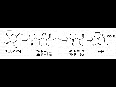 Total Synthesis of Indolizidine (+)-223A