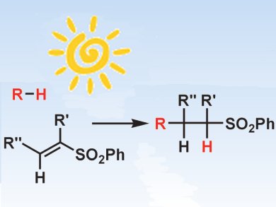 Tin-Free Radical Addition to Vinyl Sulfones